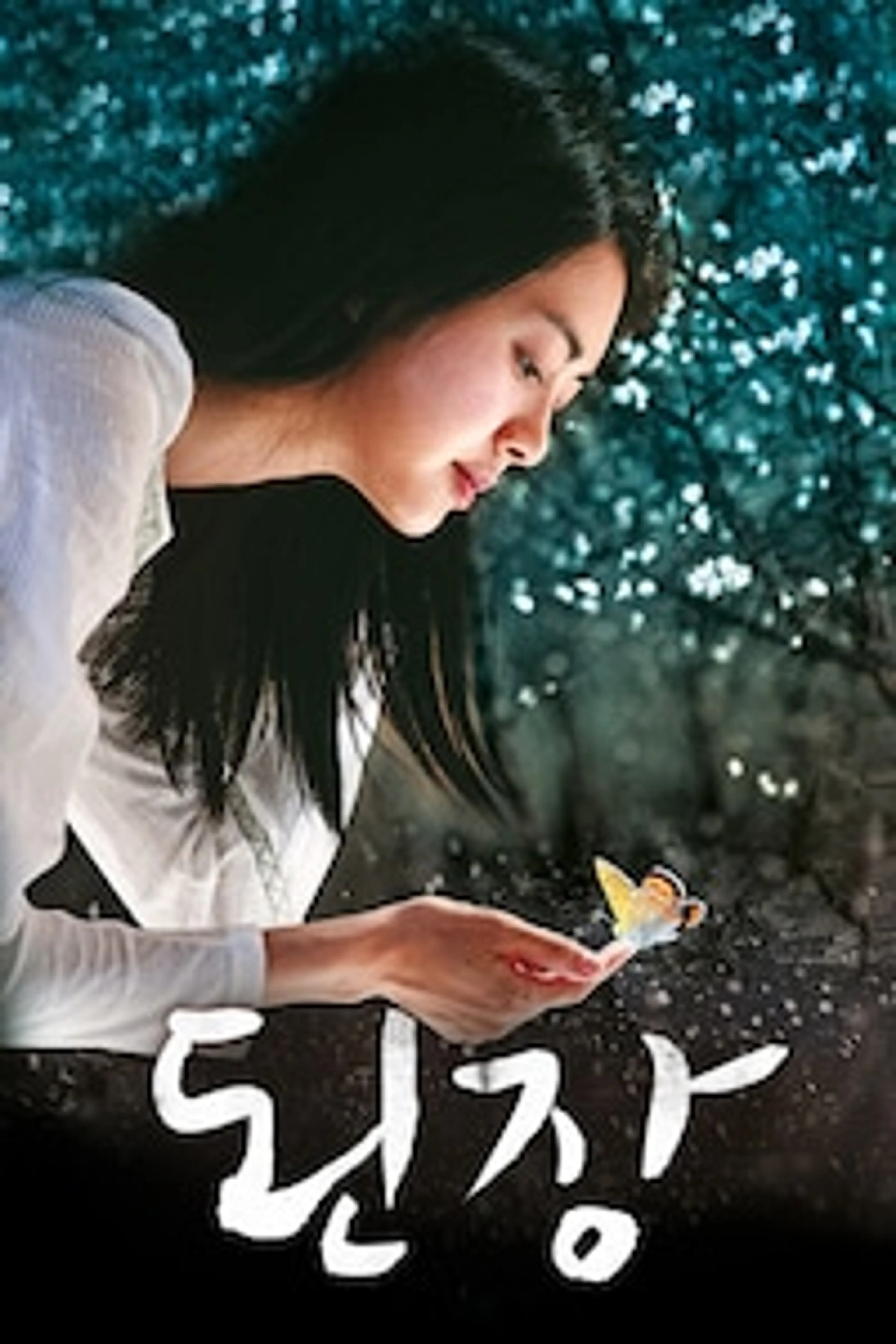 된장