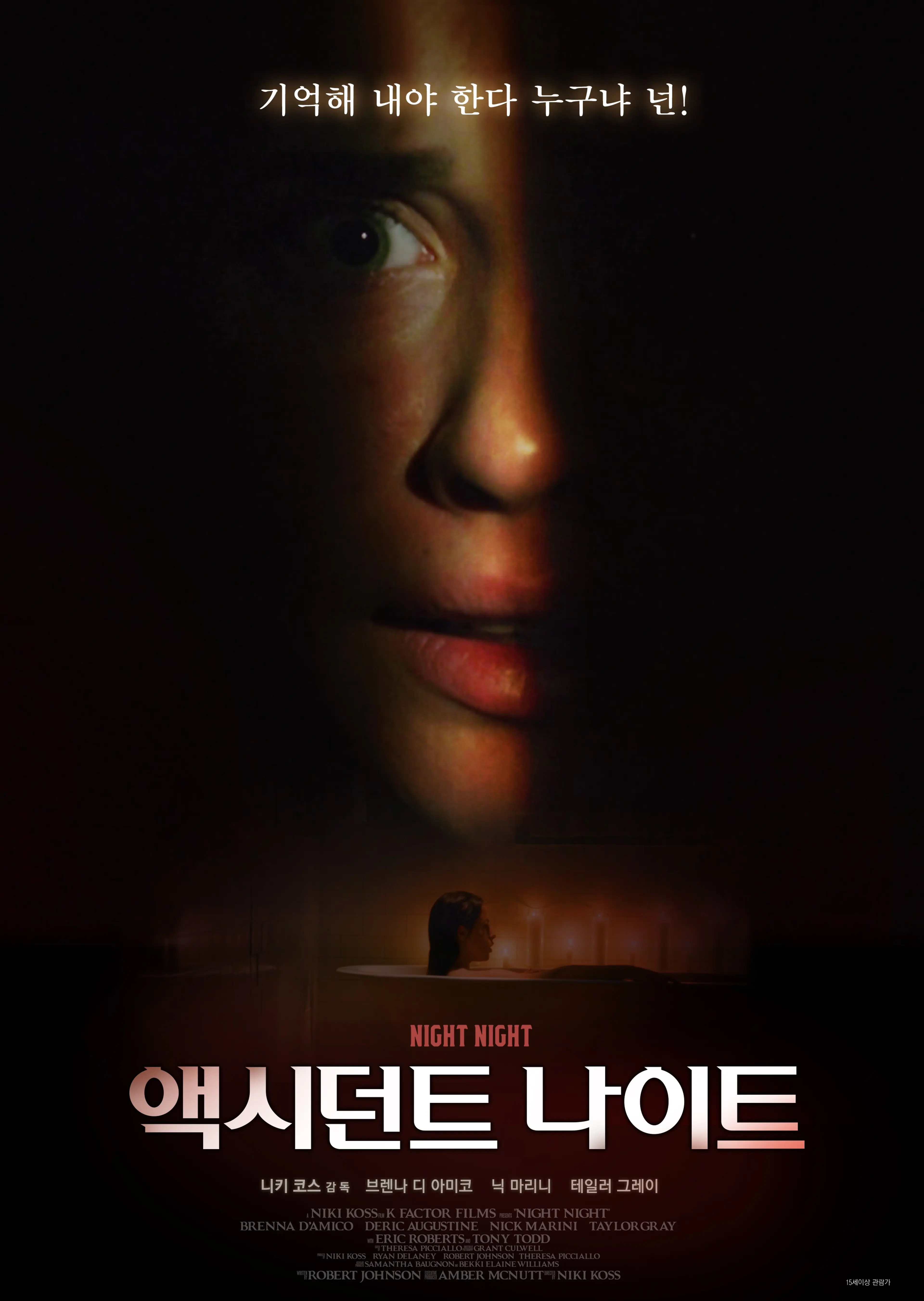 액시던트 나이트