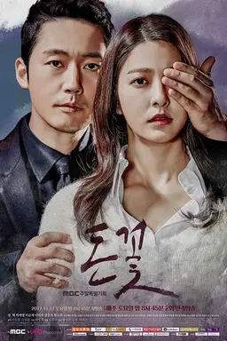 돈꽃
