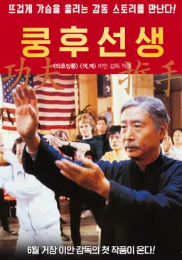 쿵후 선생