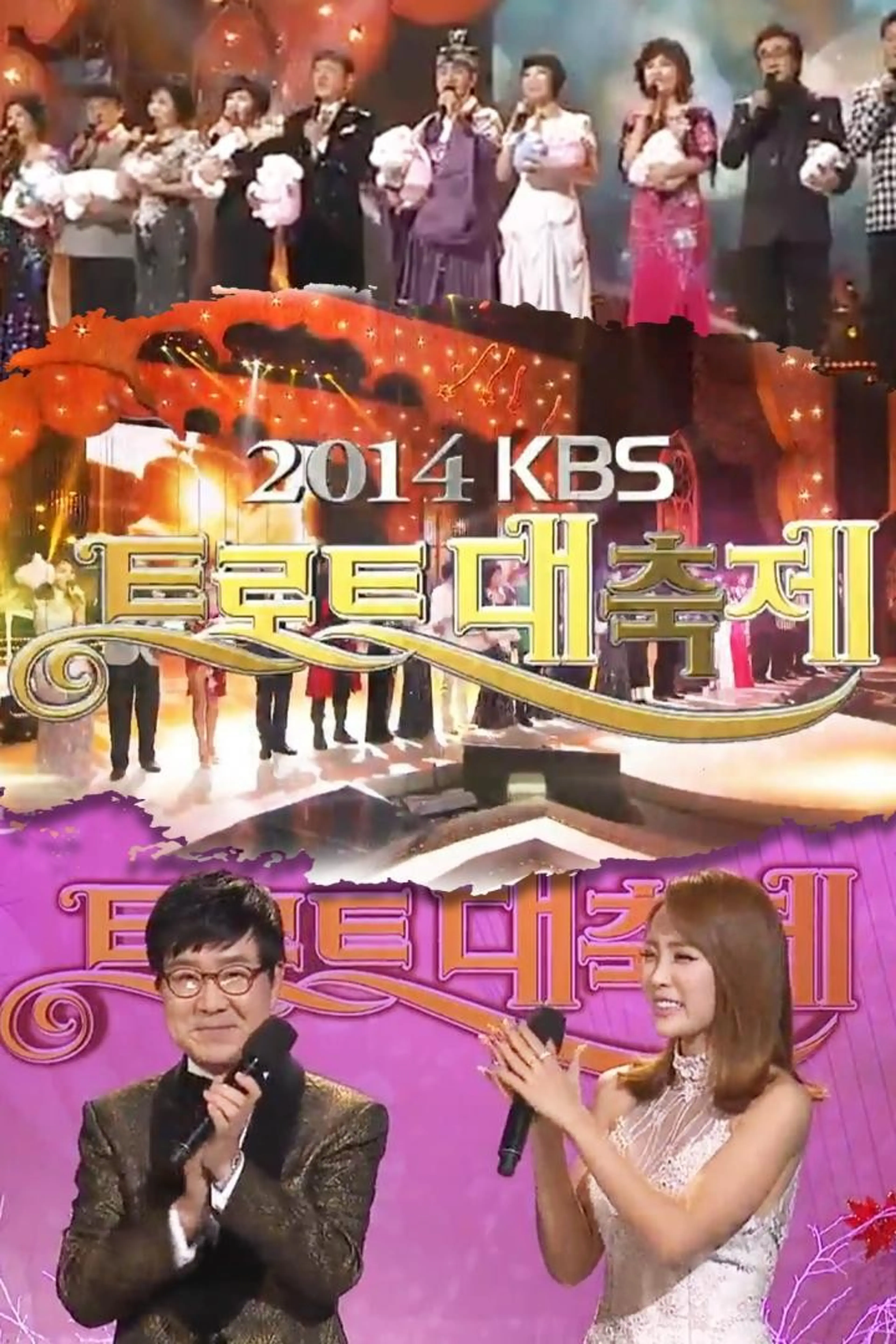 2014 트로트대축제
