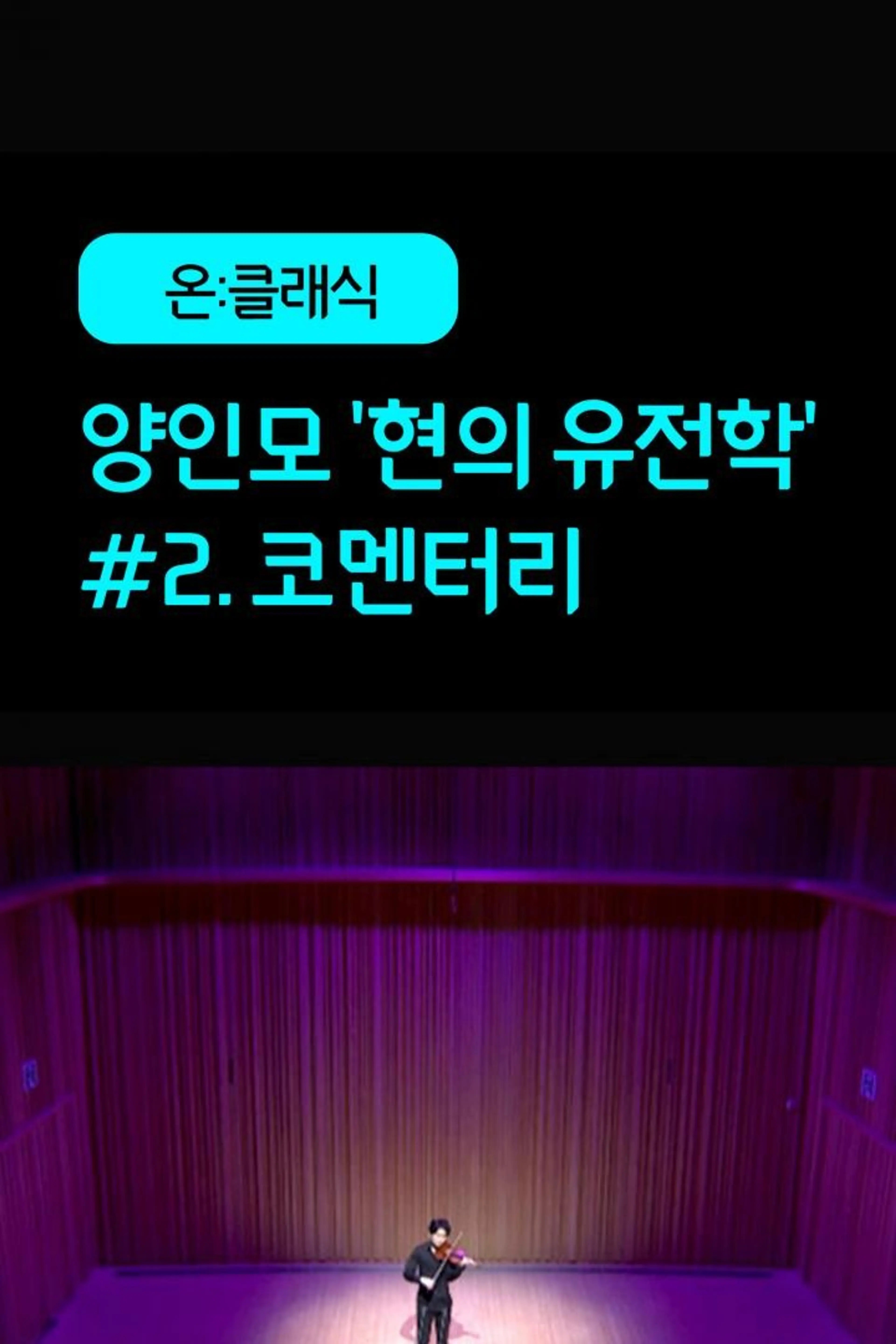 양인모 '현의 유전학' #2. 코멘터리