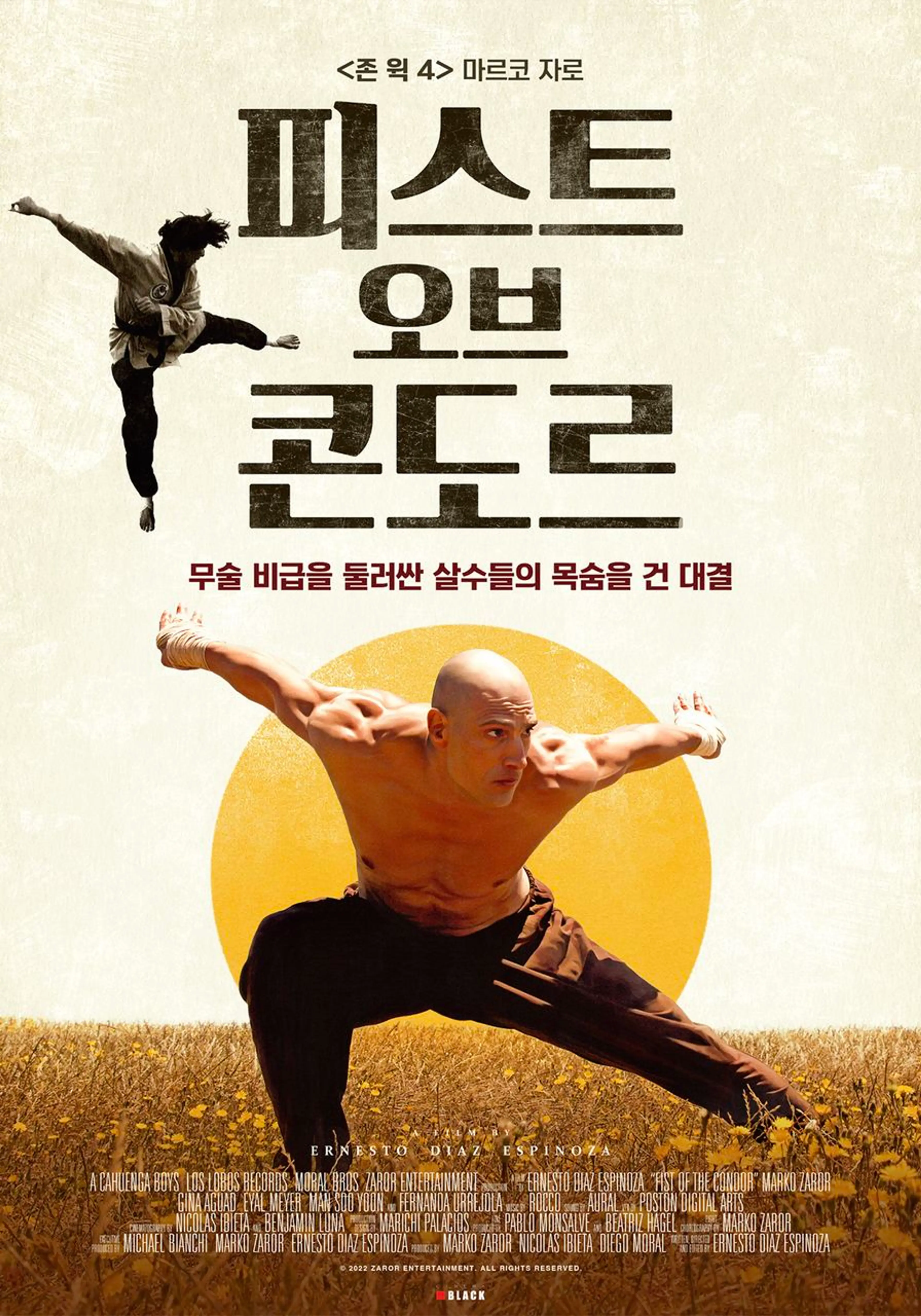 피스트 오브 콘도르