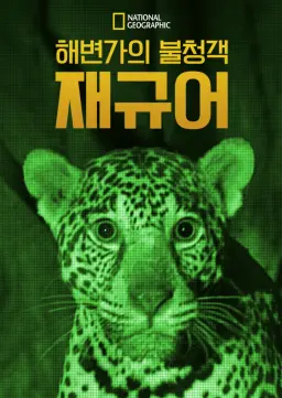 해변가의 불청객, 재규어