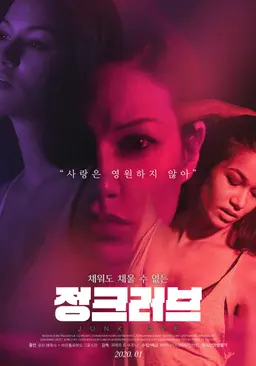 정크 러브
