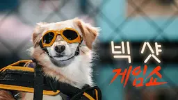 빅 샷 게임쇼