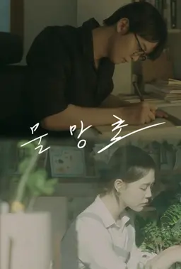 물망초