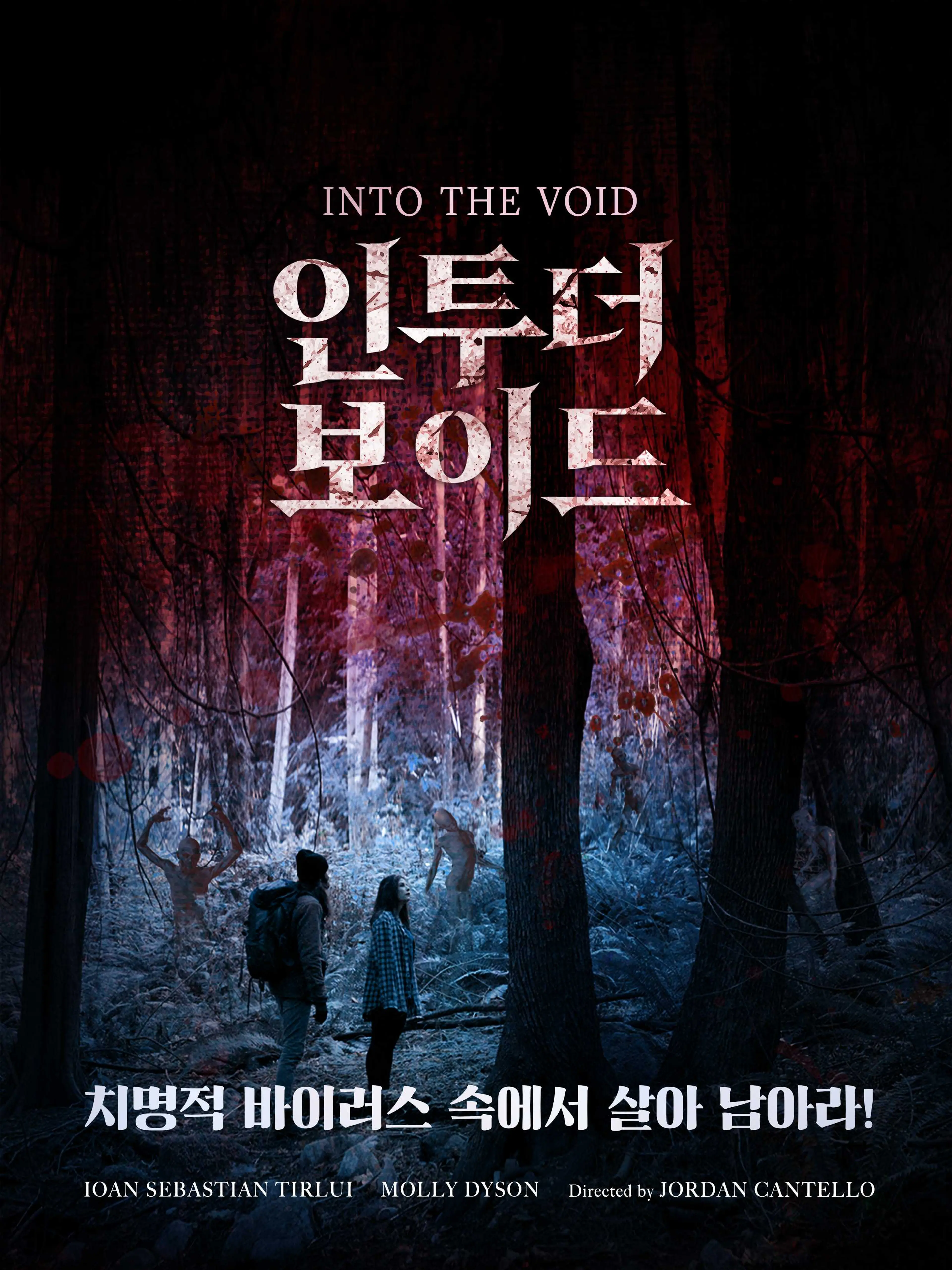 인투 더 보이드