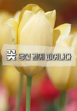 꽃, 당신 곁에 피어나다