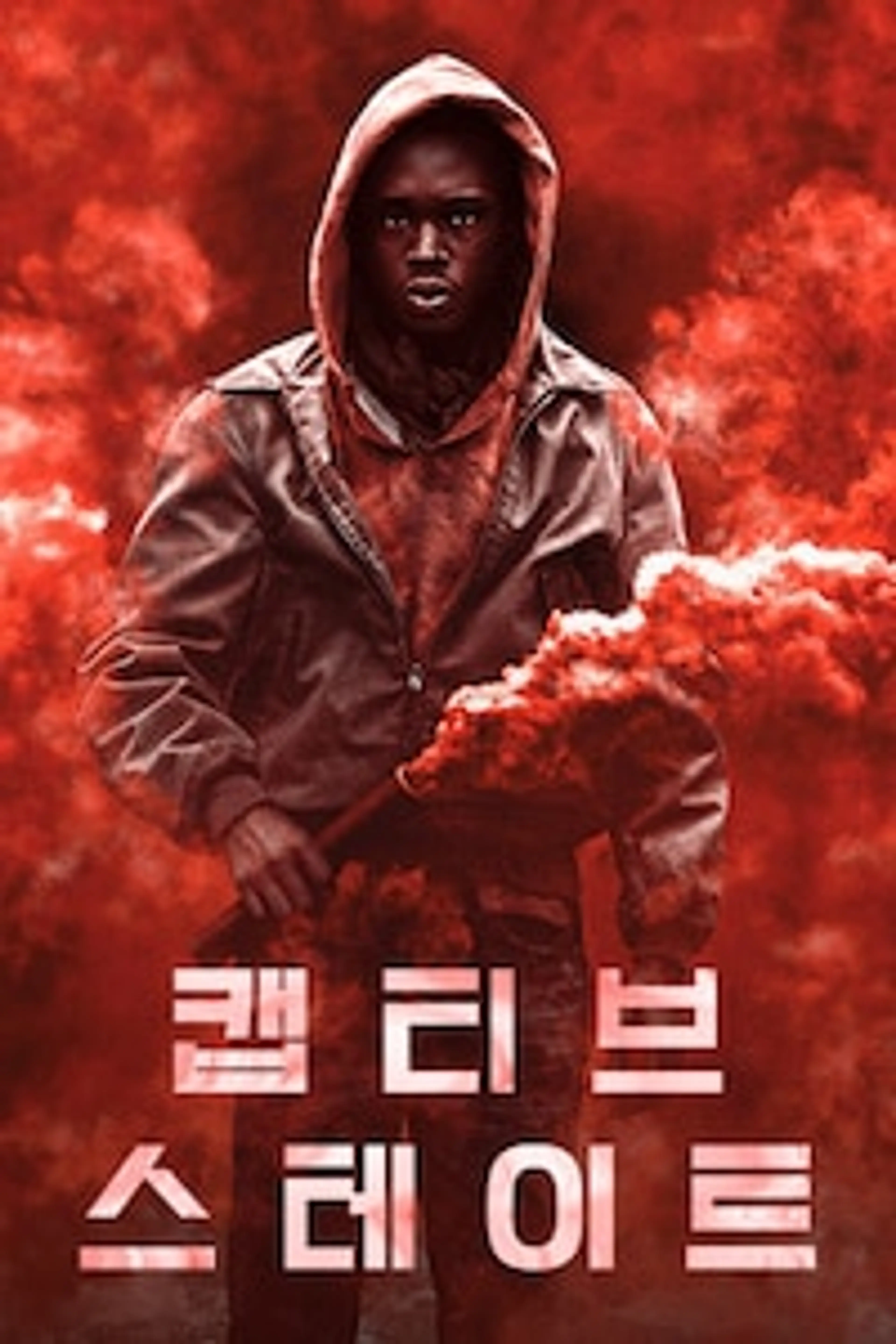 캡티브 스테이트