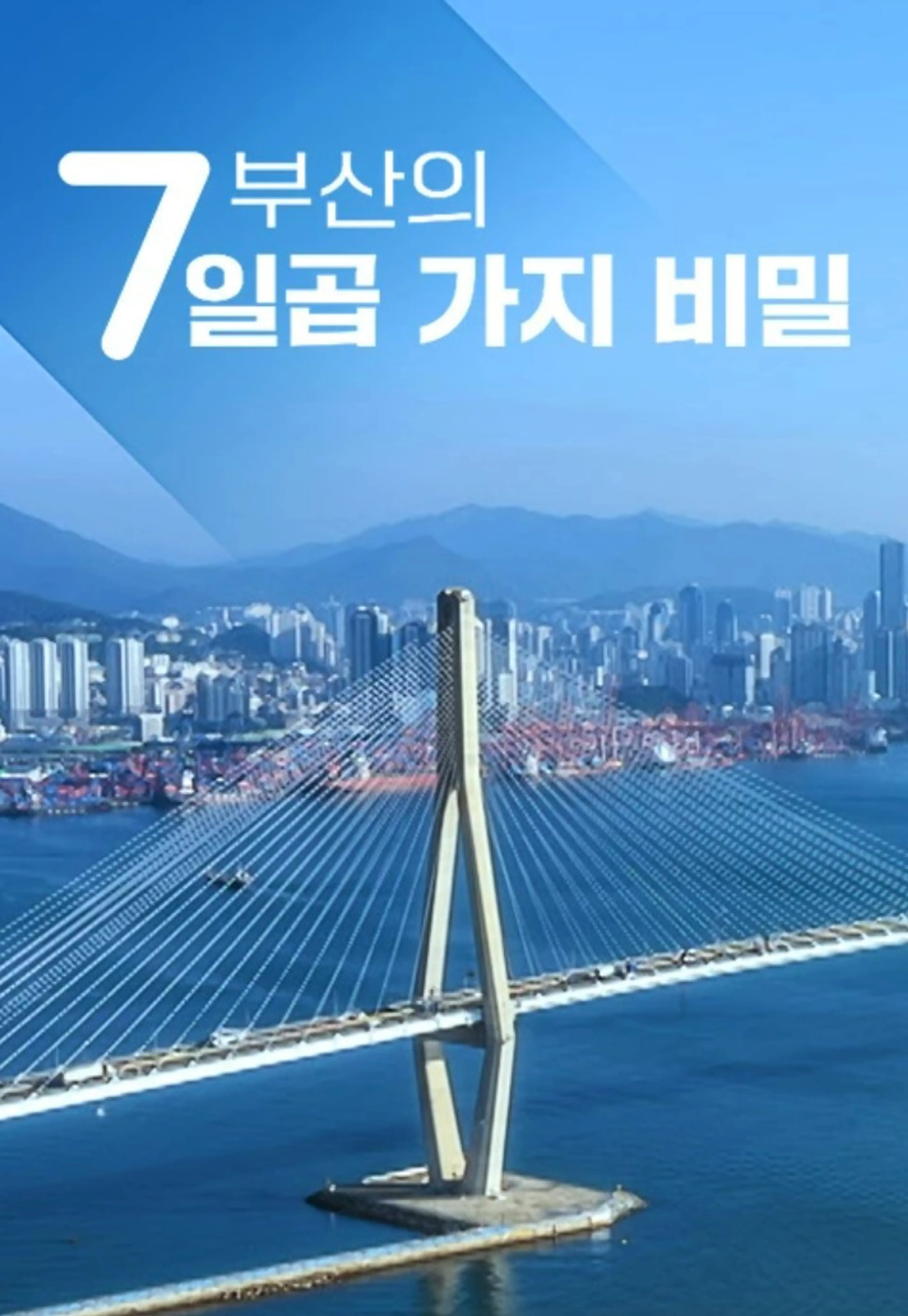 부산의 일곱 가지 비밀
