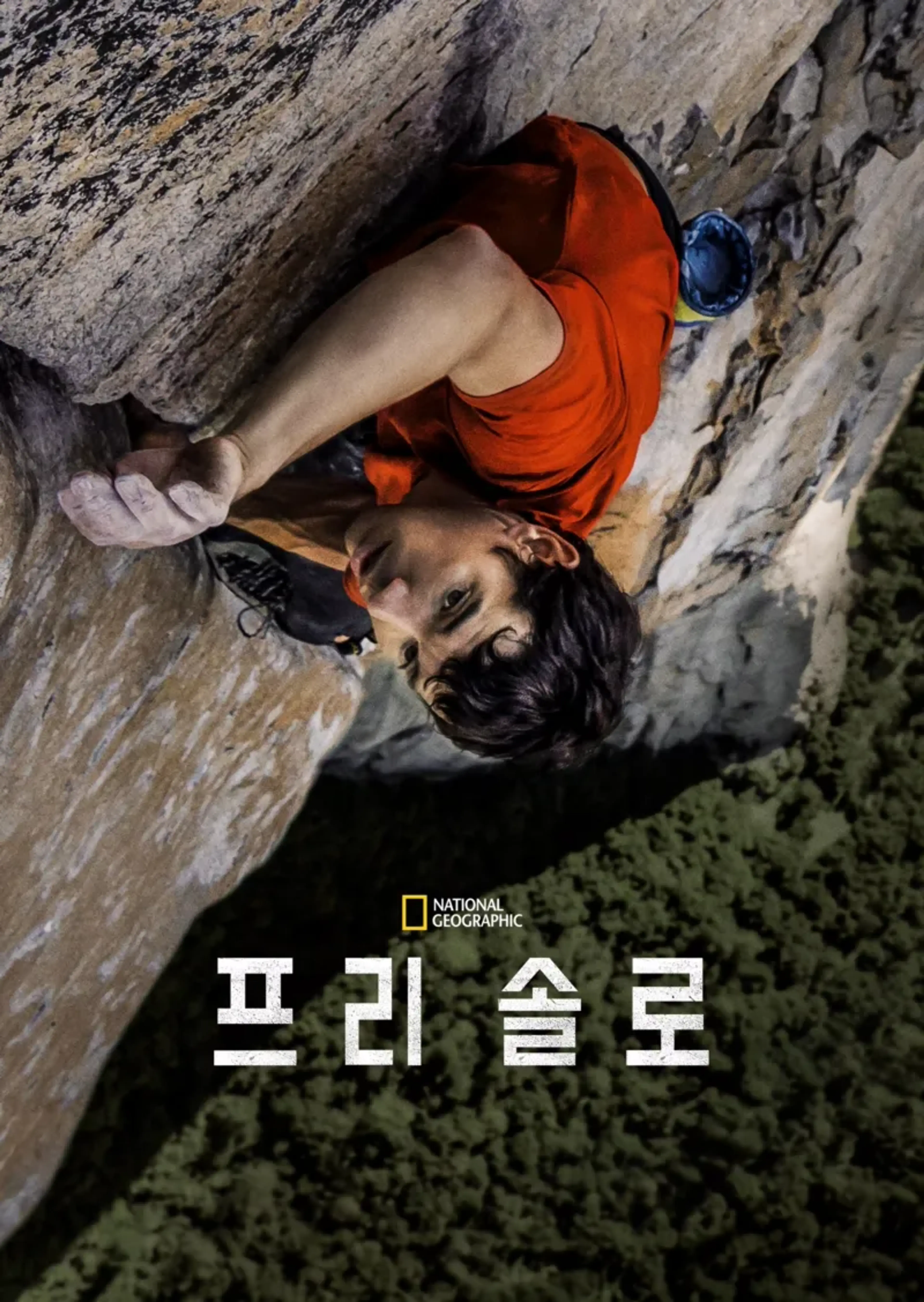 프리 솔로