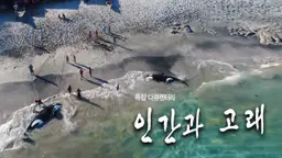 인간과 고래