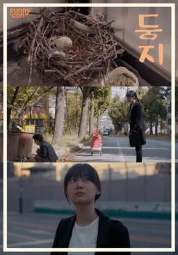 둥지
