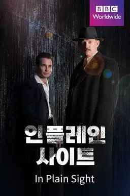 인 플레인 사이트