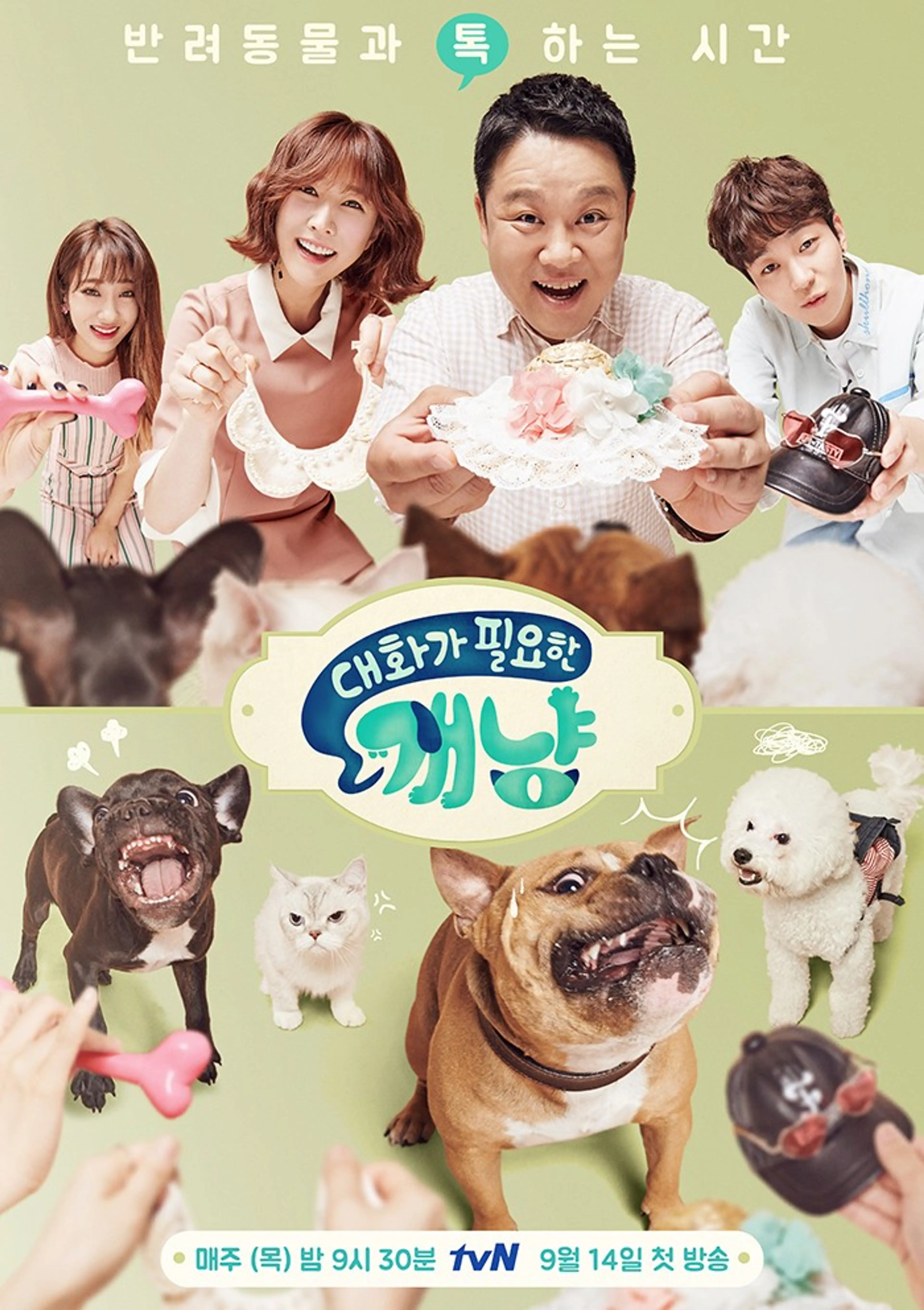 대화가 필요한 개냥