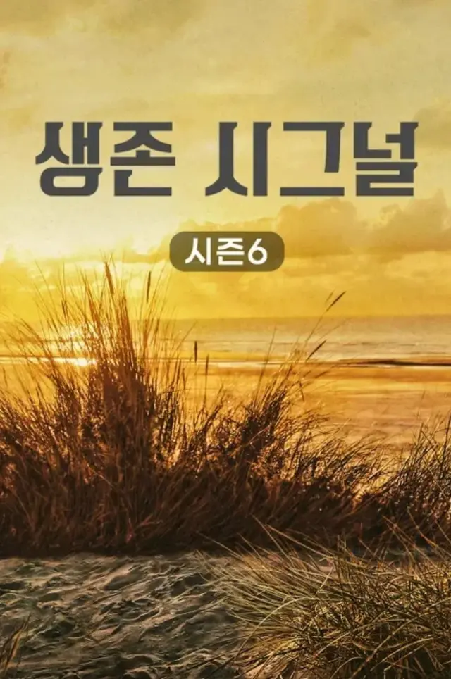 생존 시그널 시즌6
