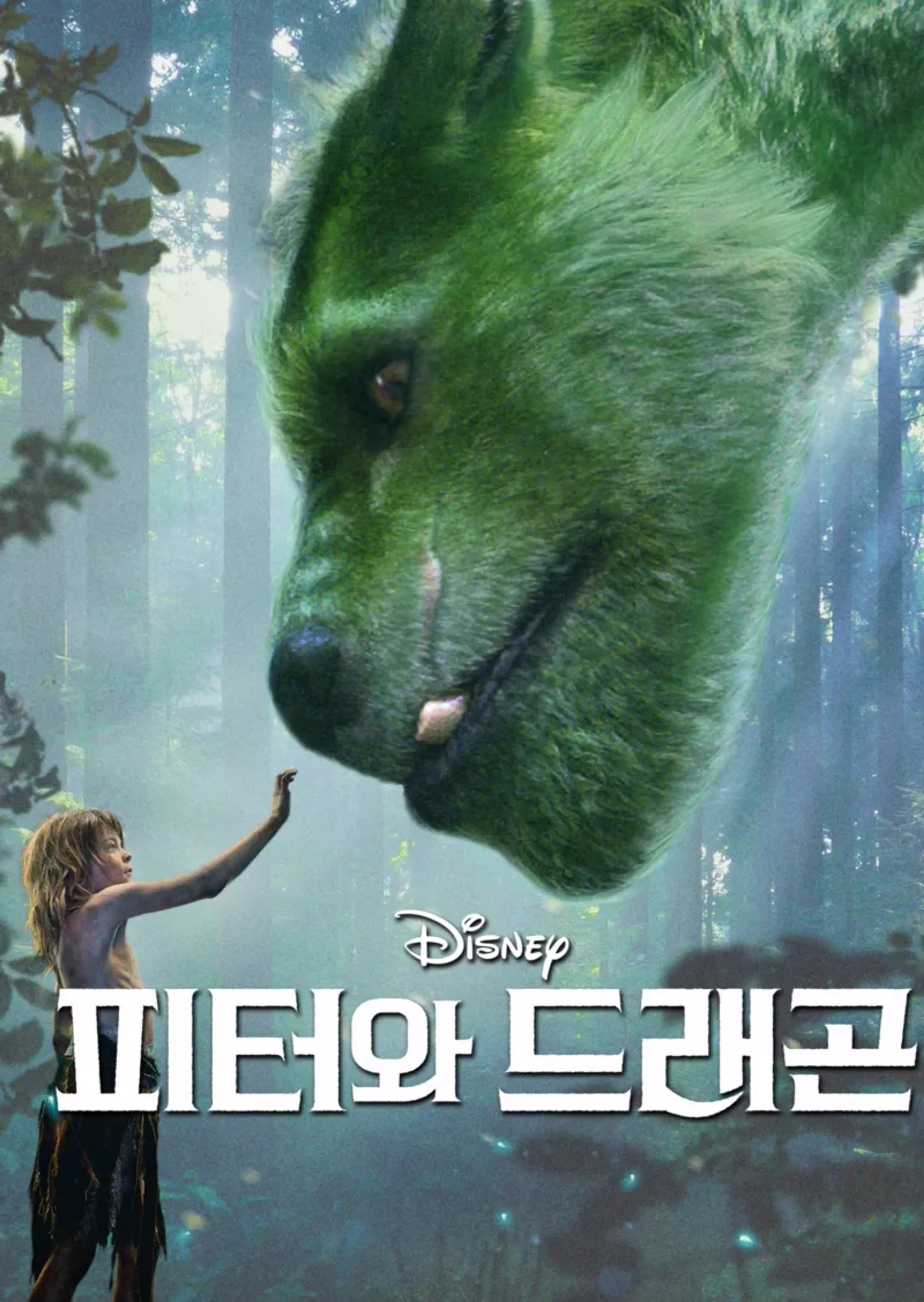 피터와 드래곤