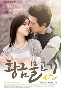 황금물고기