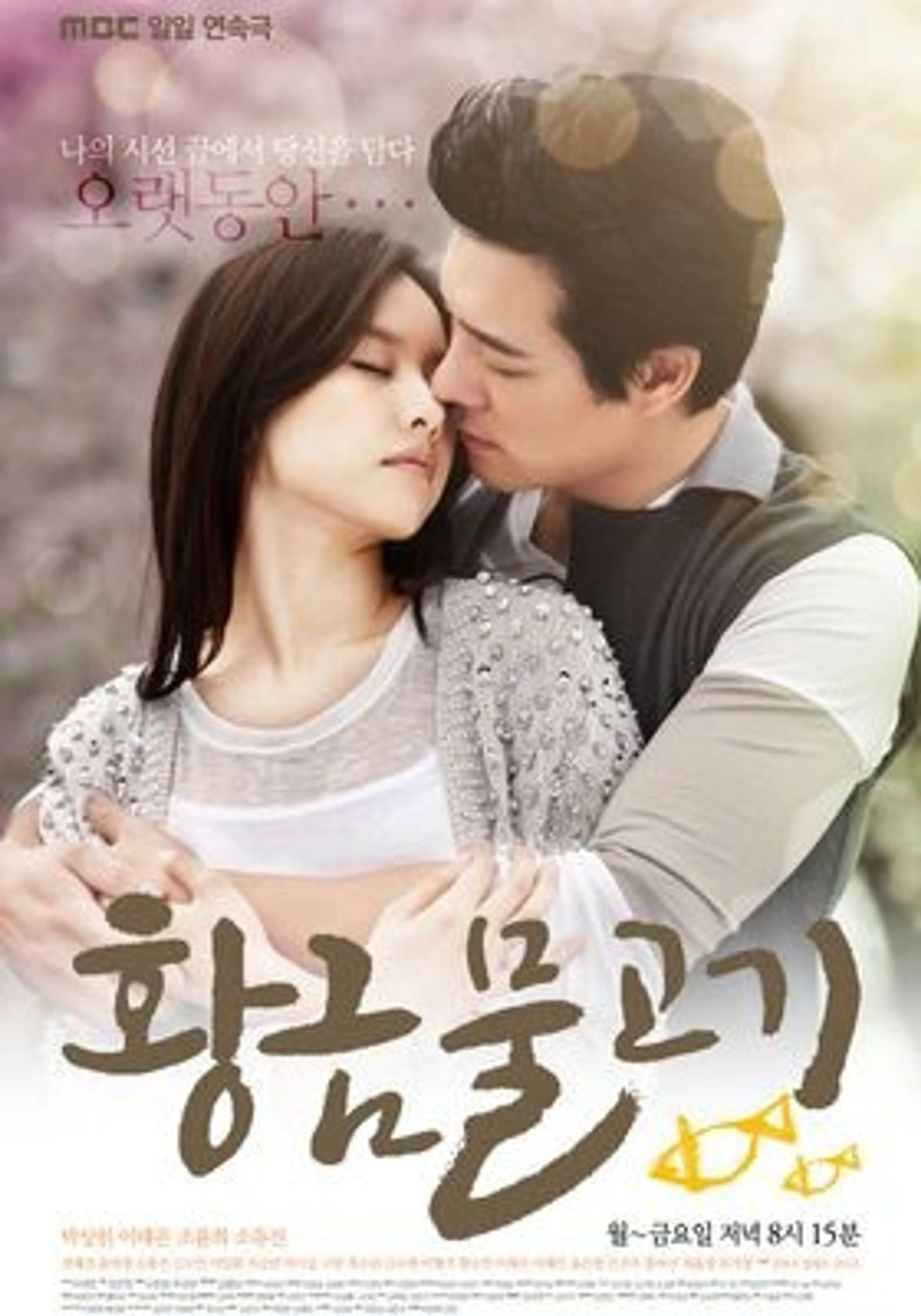 황금물고기