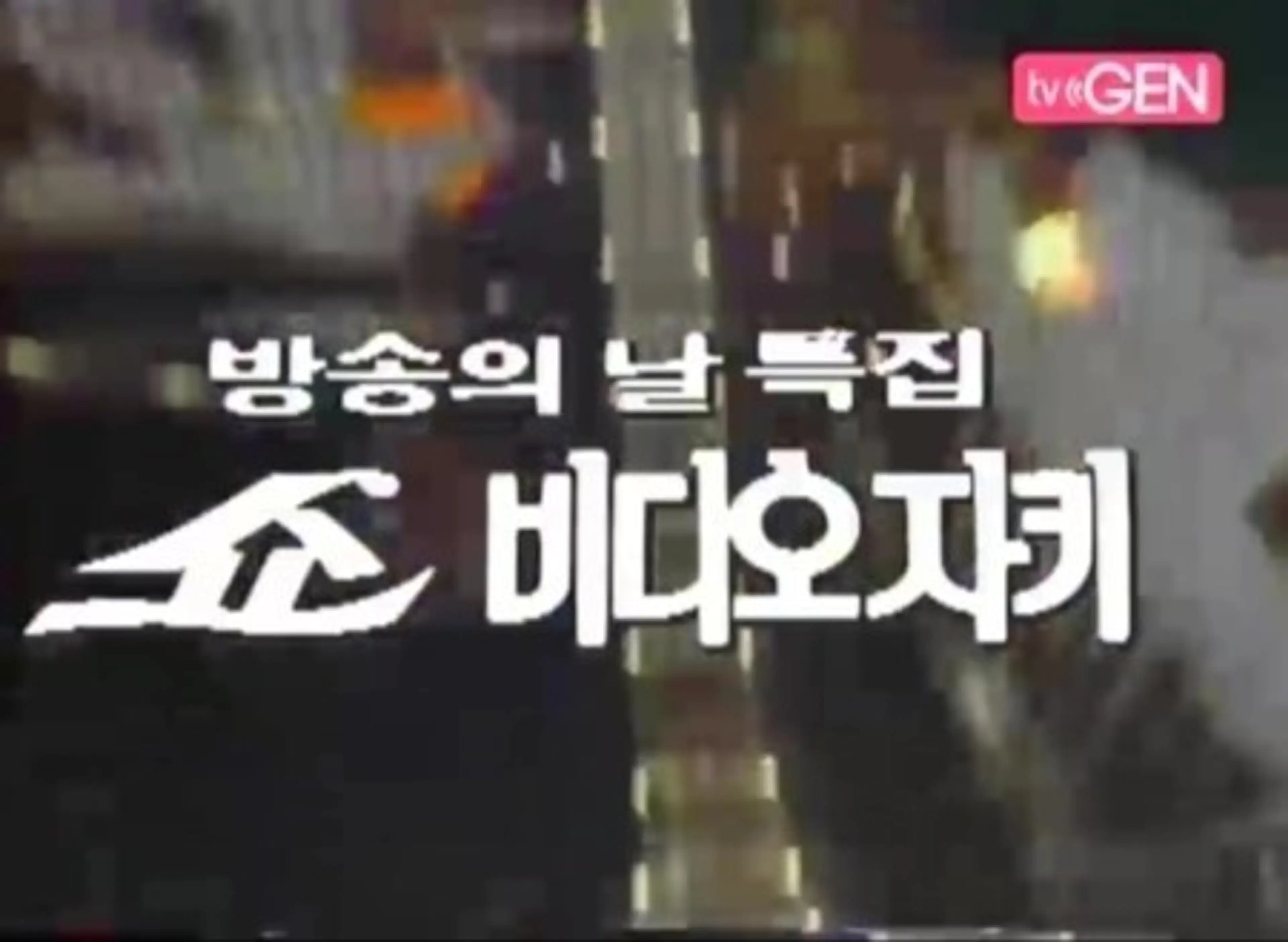 쇼 비디오 자키