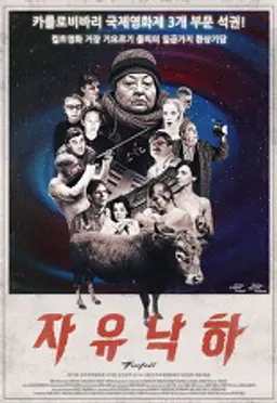 자유 낙하