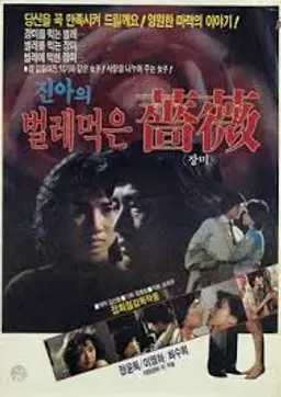 진아의 벌레먹은 장미