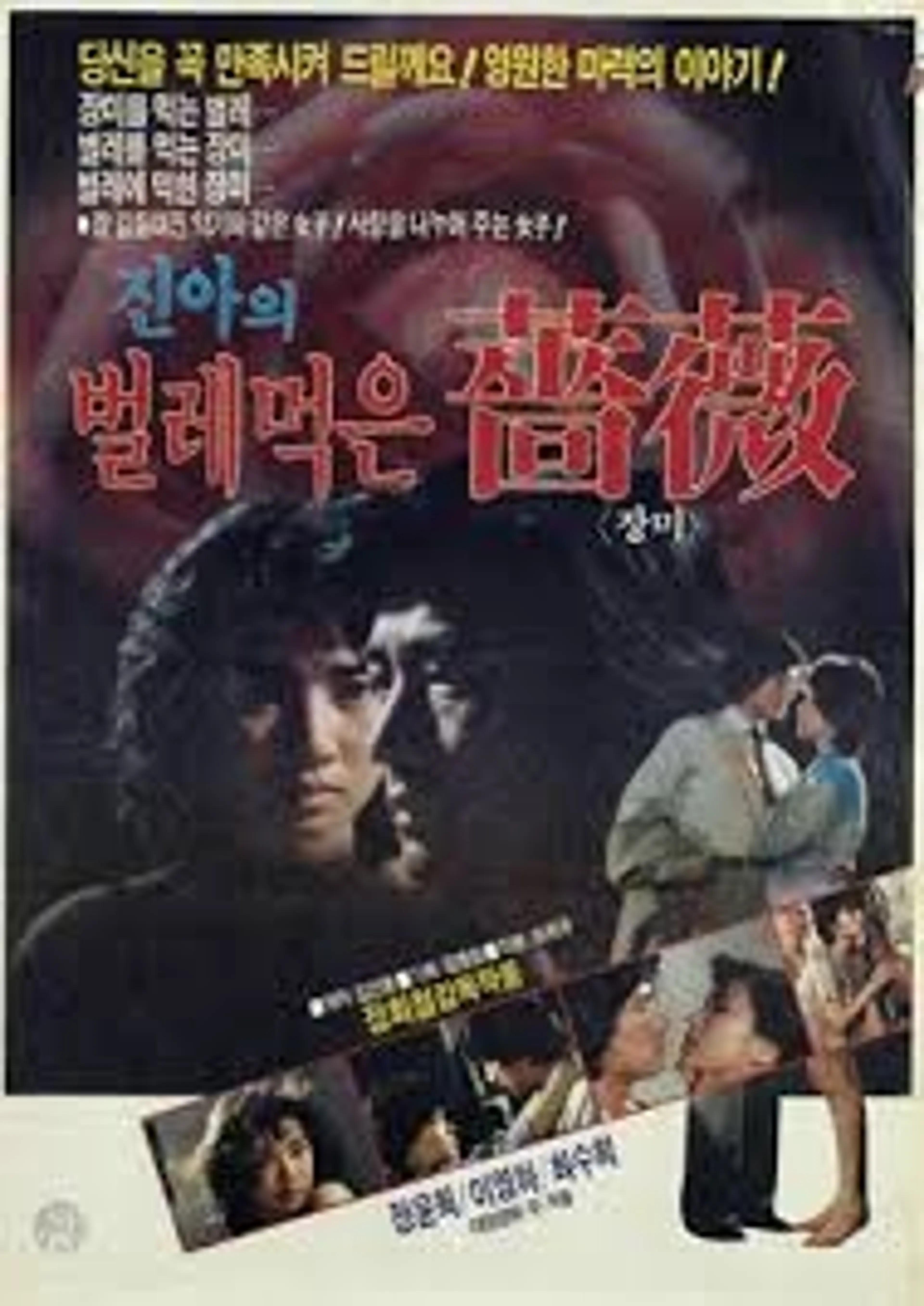 진아의 벌레먹은 장미