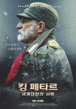 킹 페타르: 세계대전의 서막