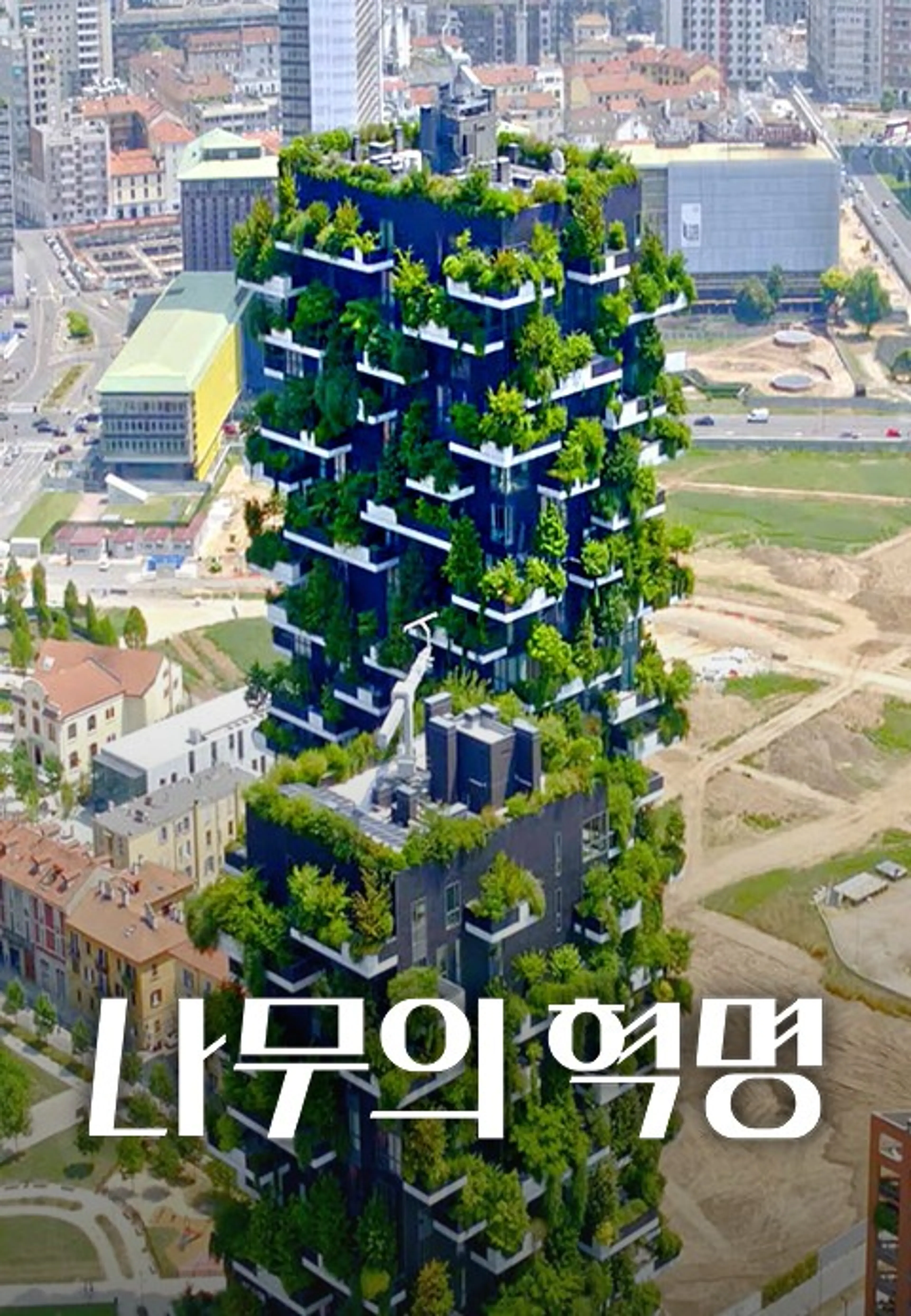 나무의 혁명