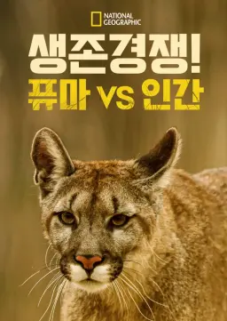 생존 경쟁! 퓨마 vs 인간