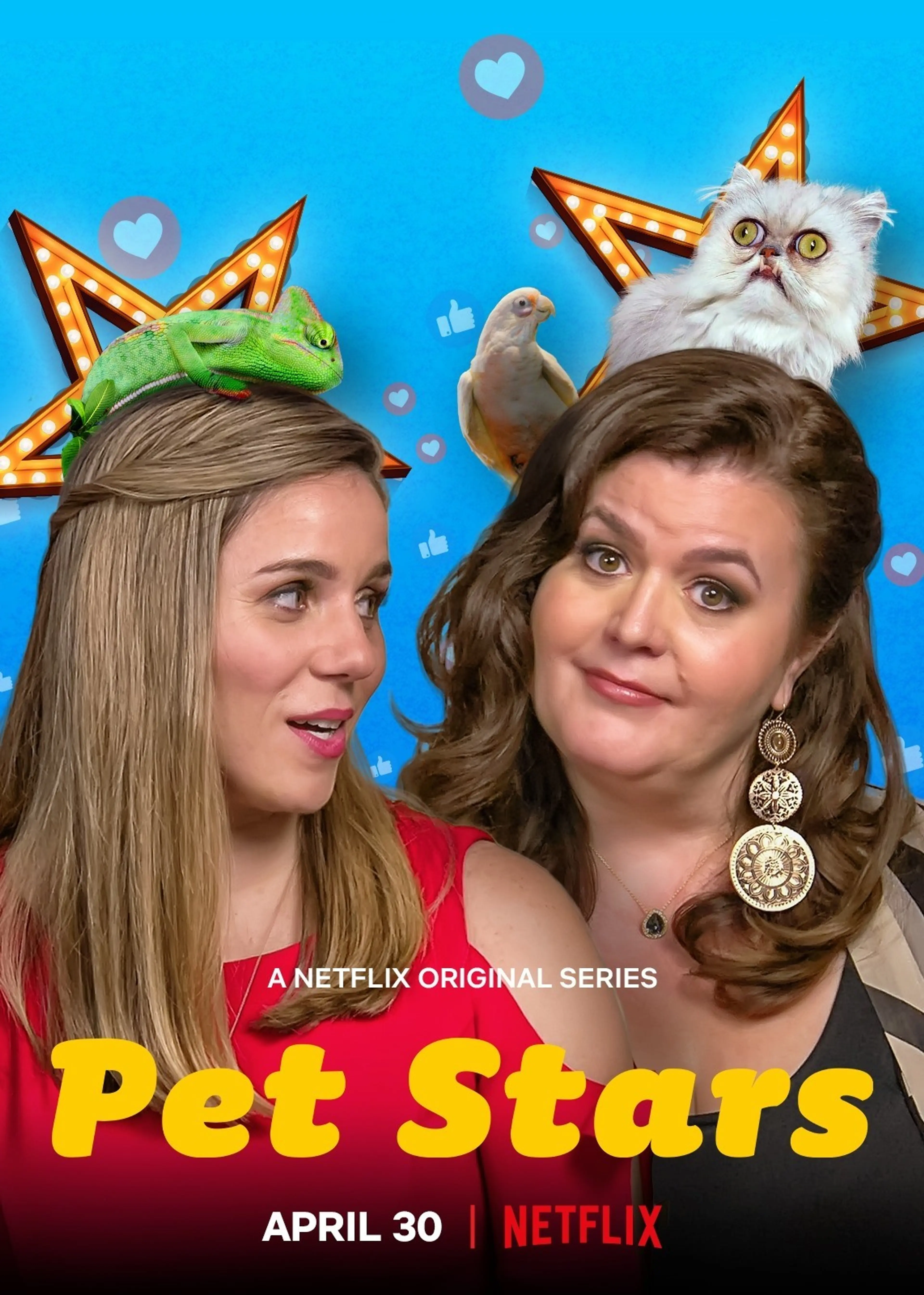 오 마이 펫 스타!