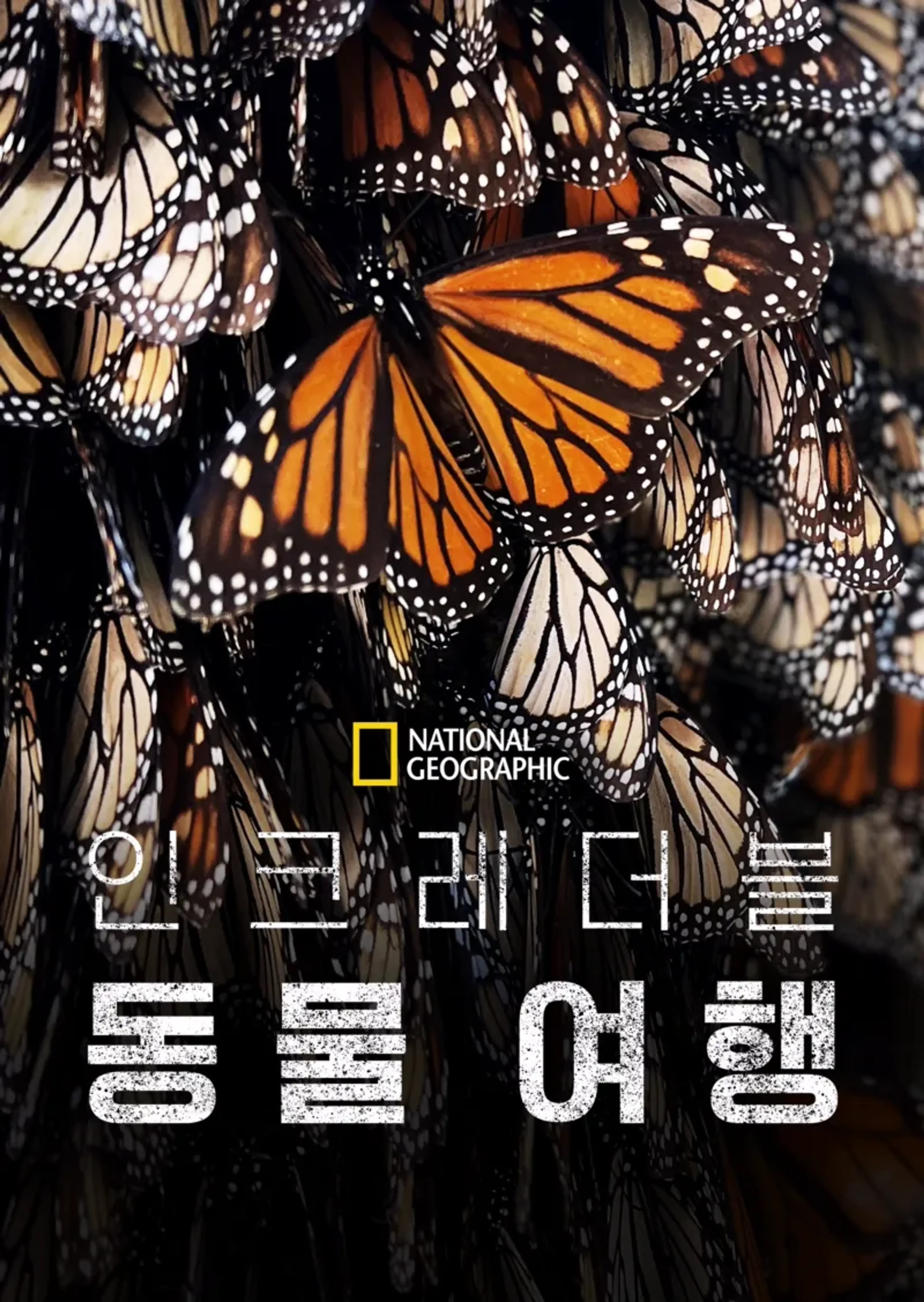 인크레더블 동물 여행