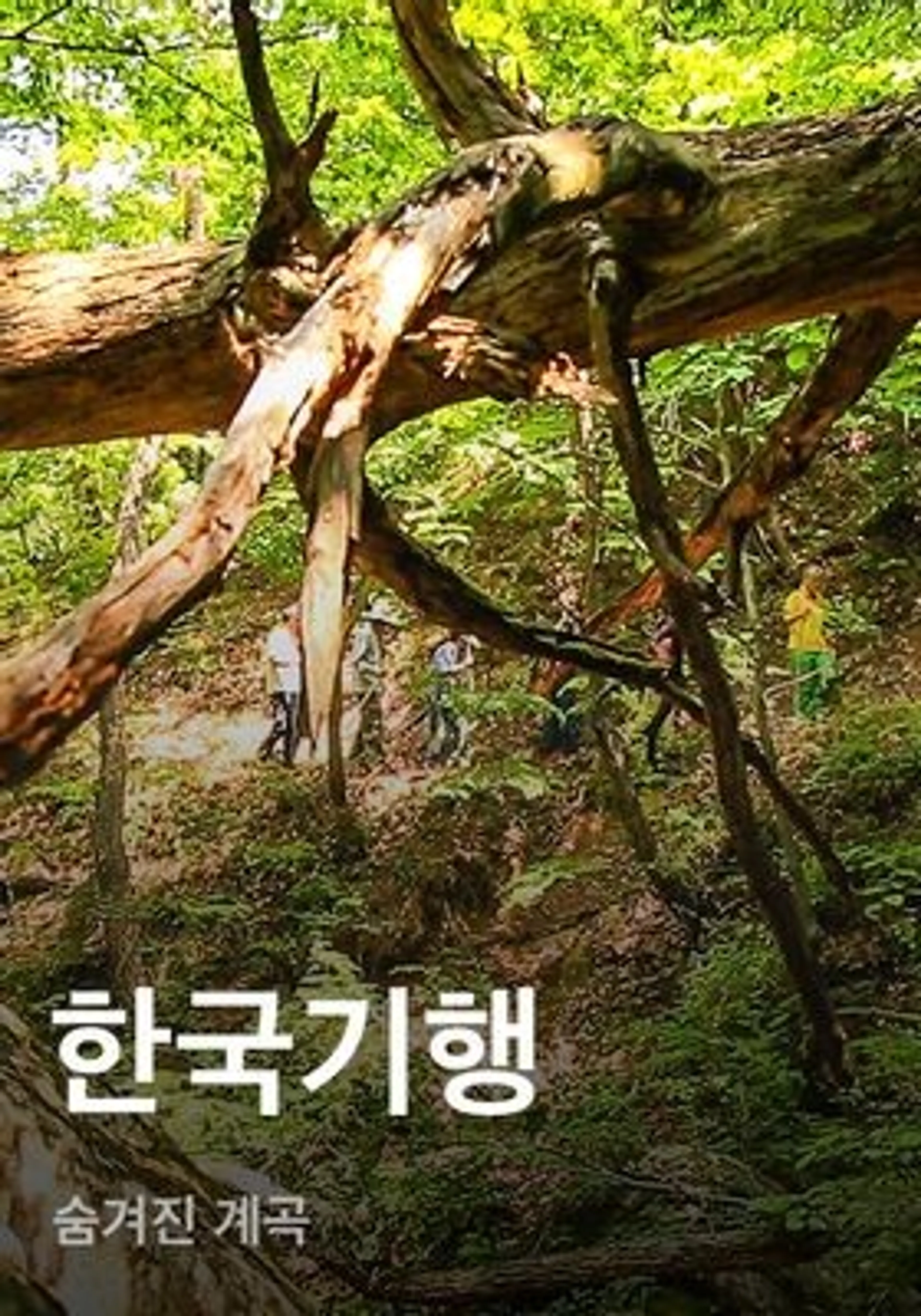 한국기행 - 숨겨진 계곡