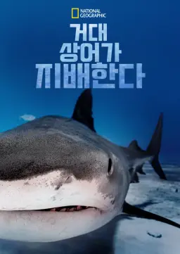 거대 상어가 지배한다