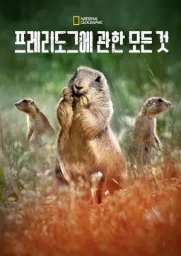 프레리도그에 관한 모든 것