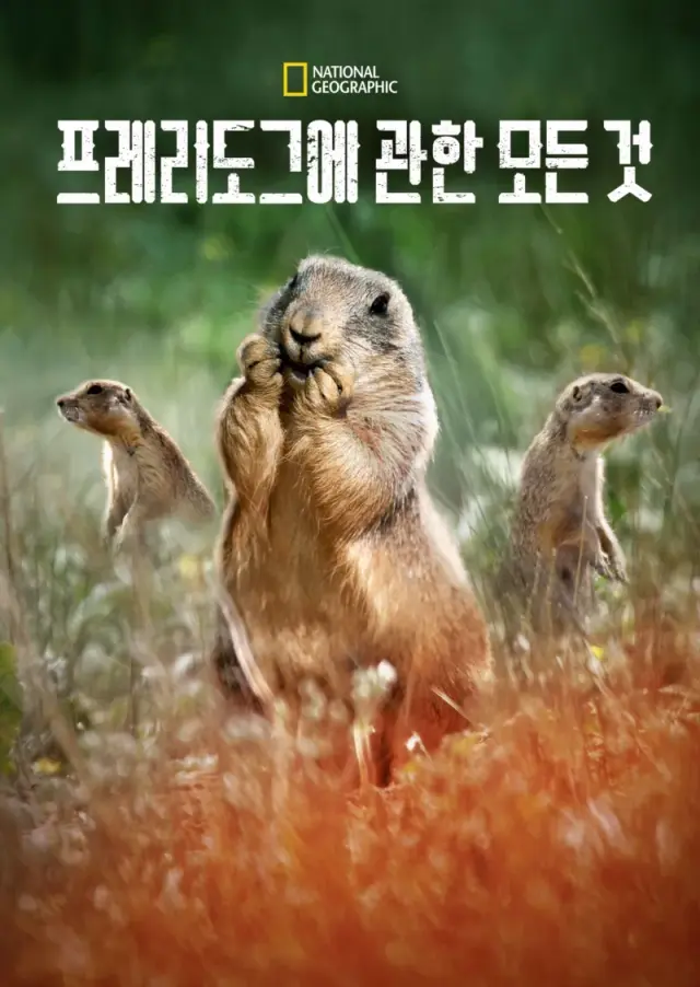 프레리도그에 관한 모든 것