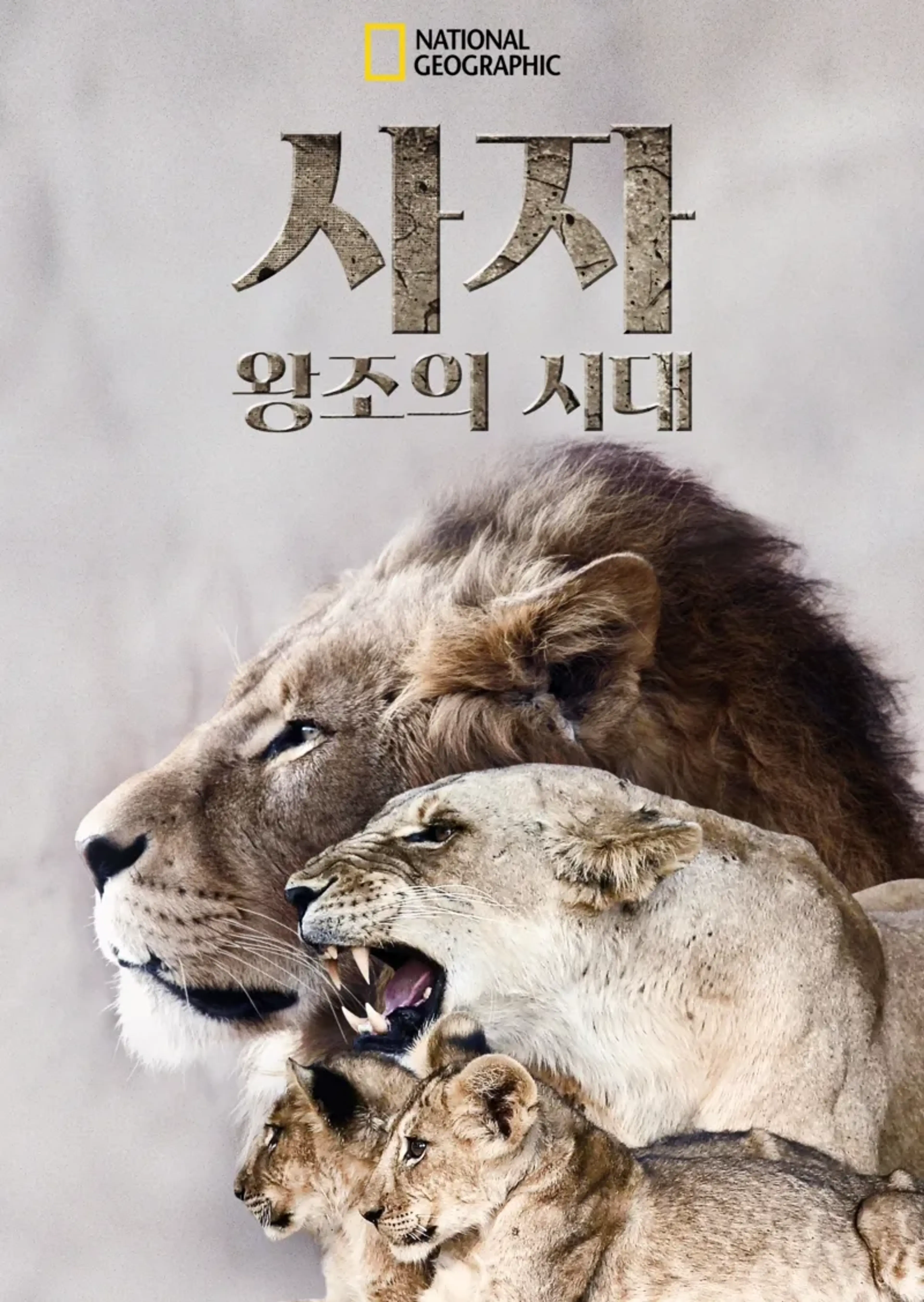 사자 왕조의 시대