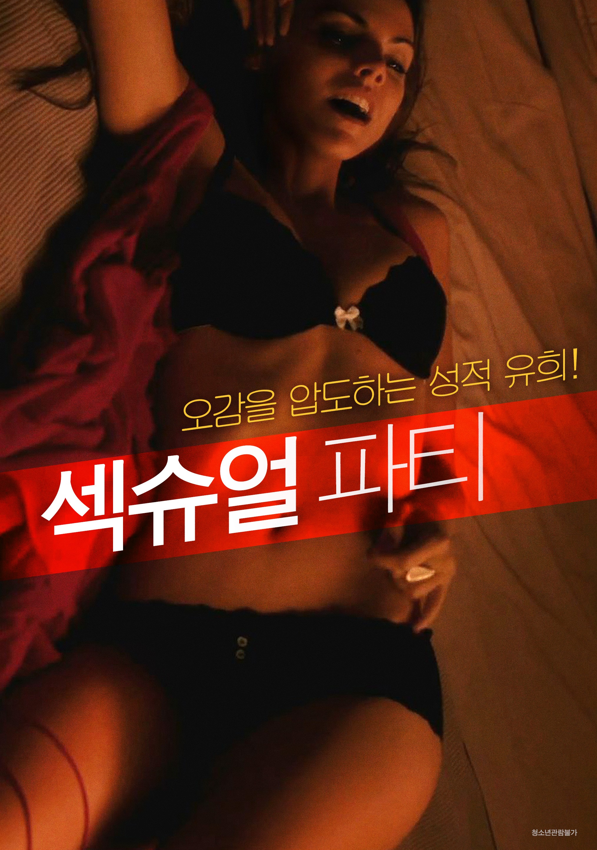 섹슈얼파티