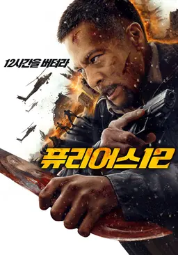 퓨리어스 12