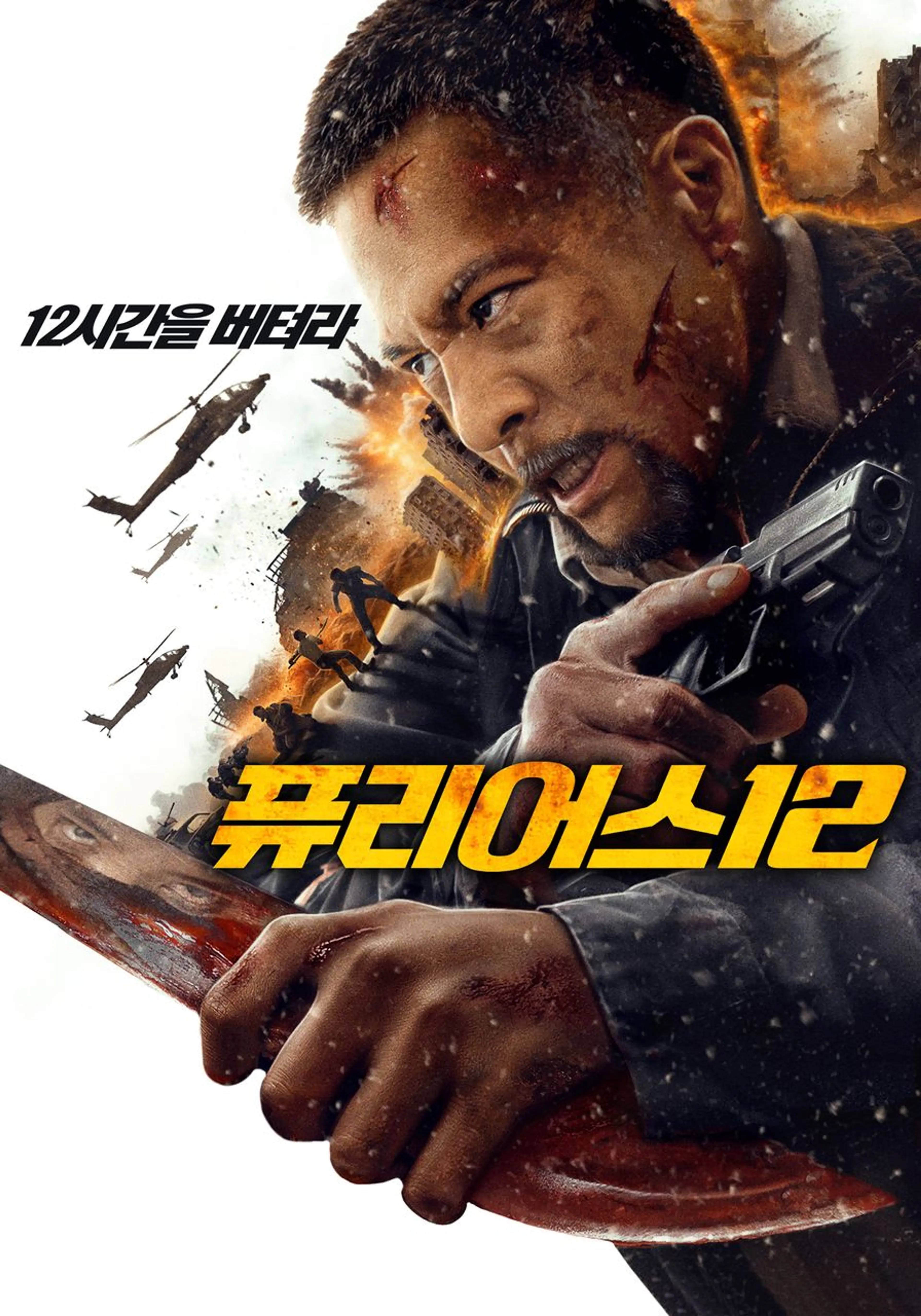 퓨리어스 12