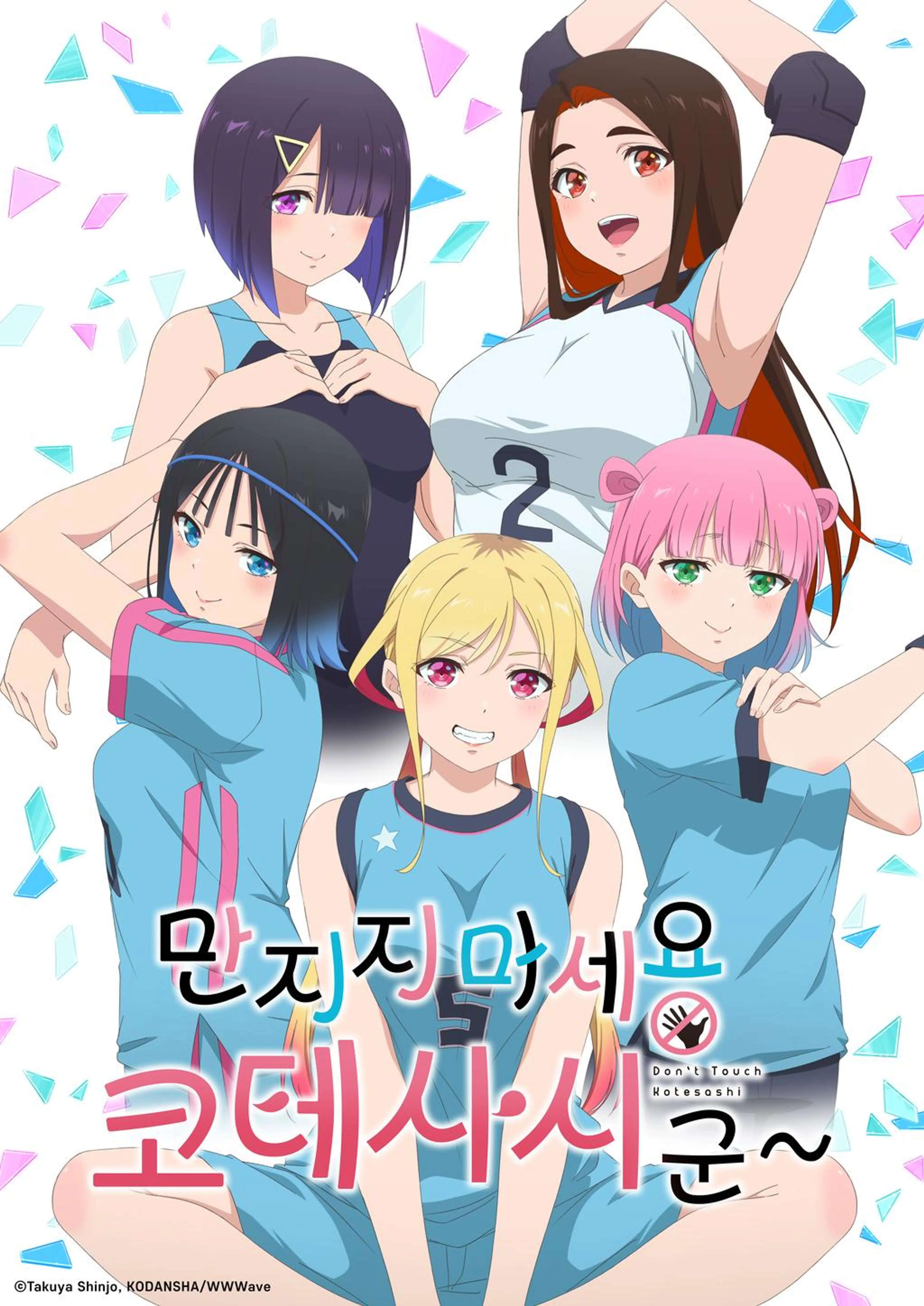 만지지 마세요 코테사시군