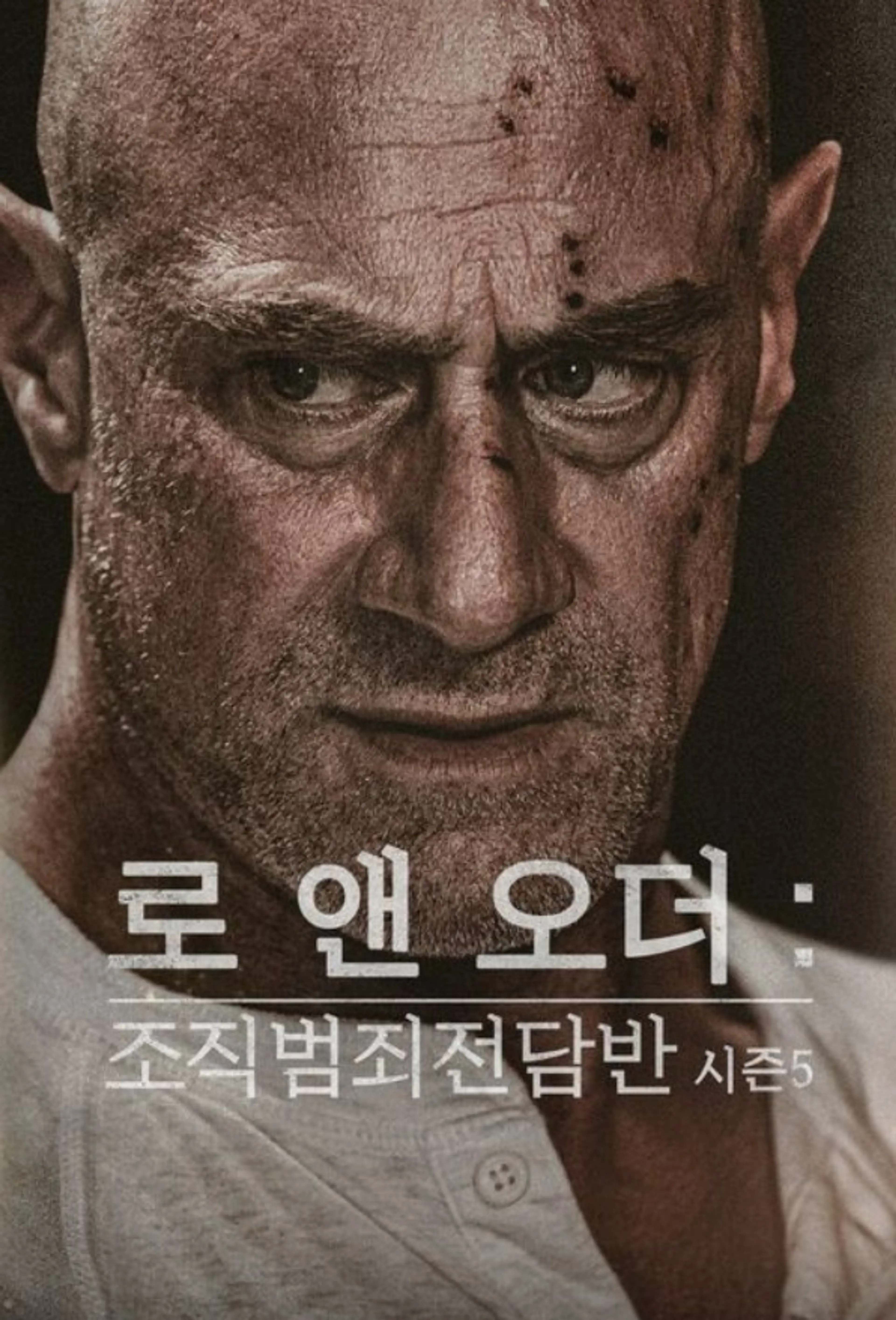 로앤오더: 조직범죄 전담반 시즌 5
