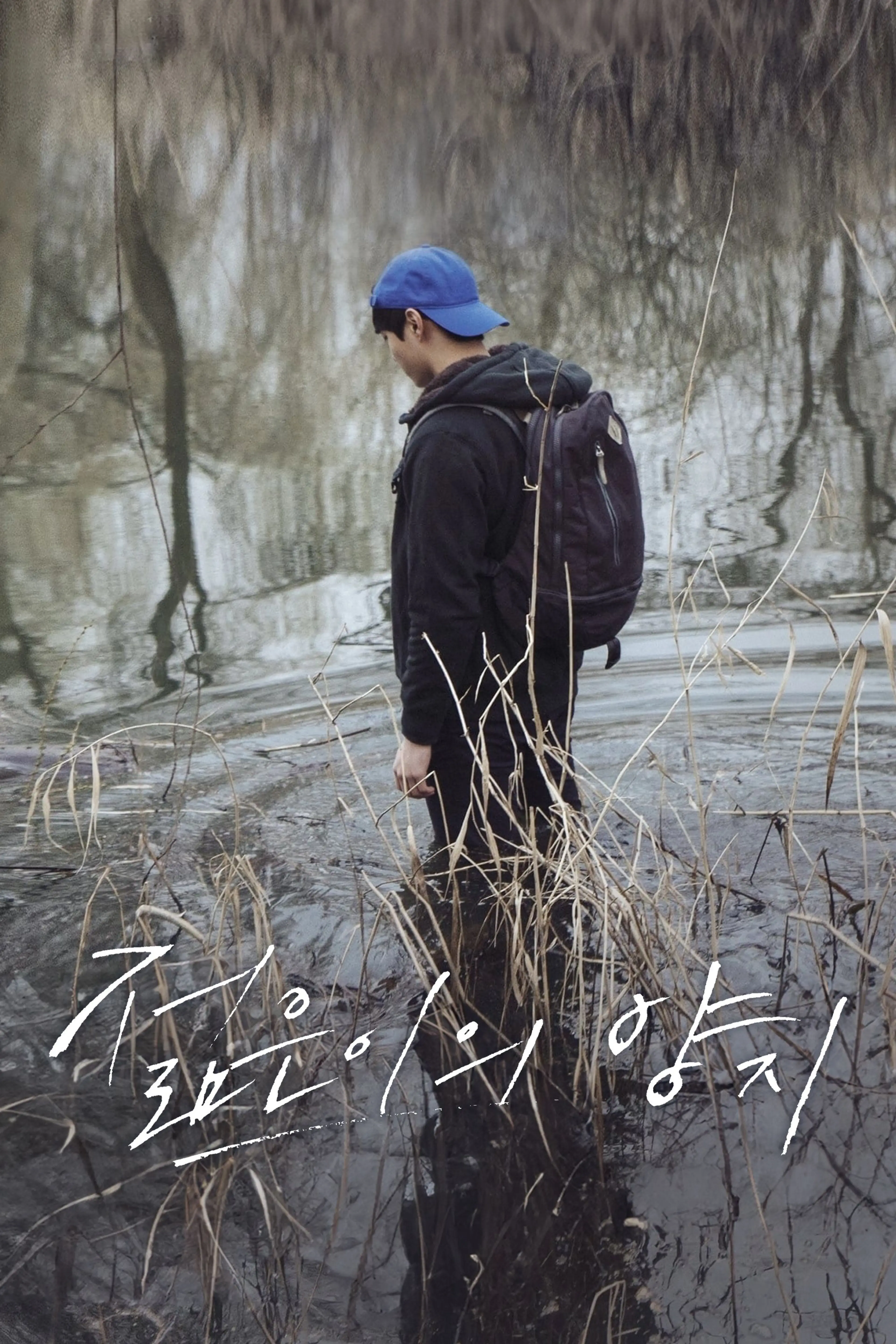 젊은이의 양지