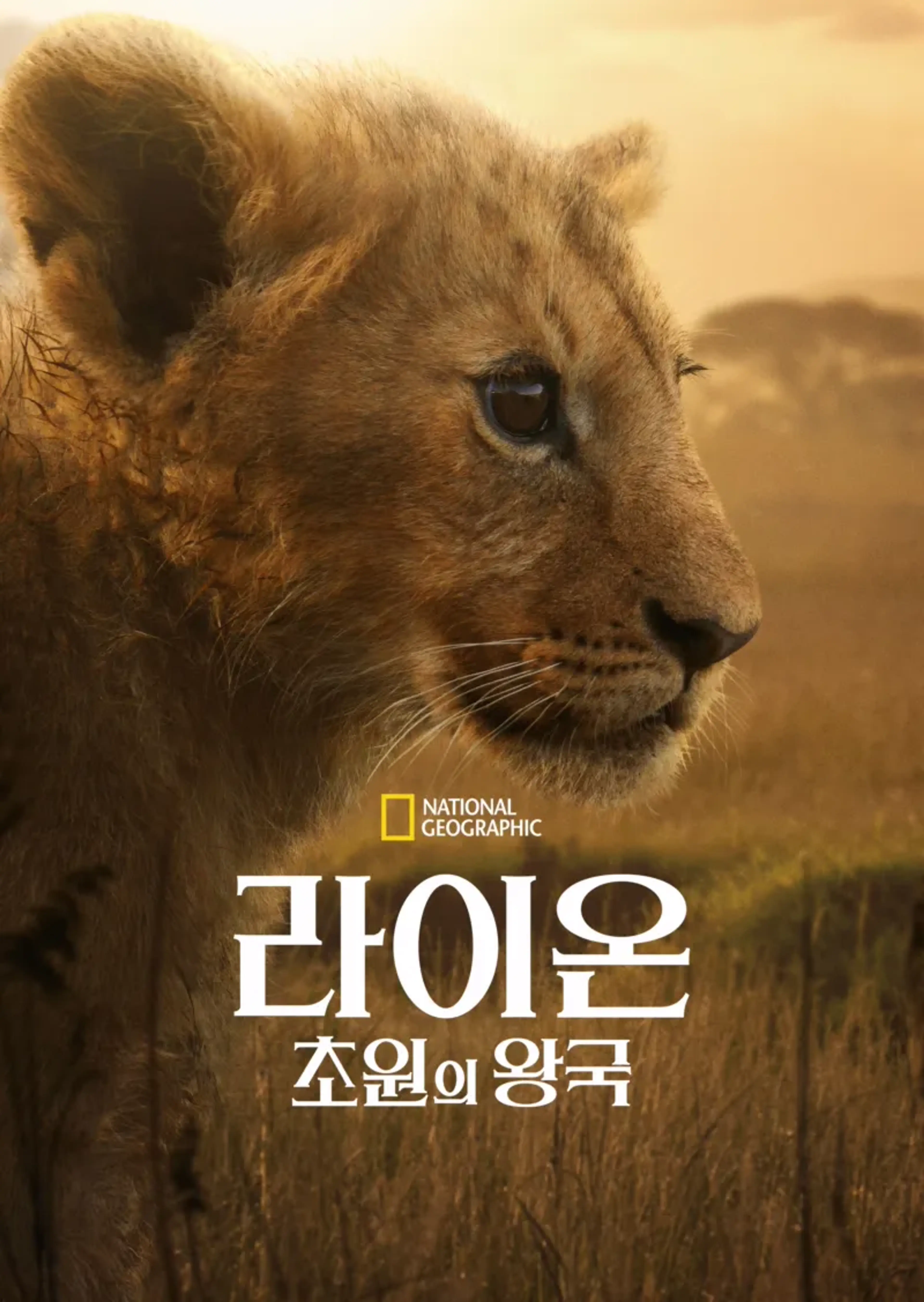 라이온: 초원의 왕국