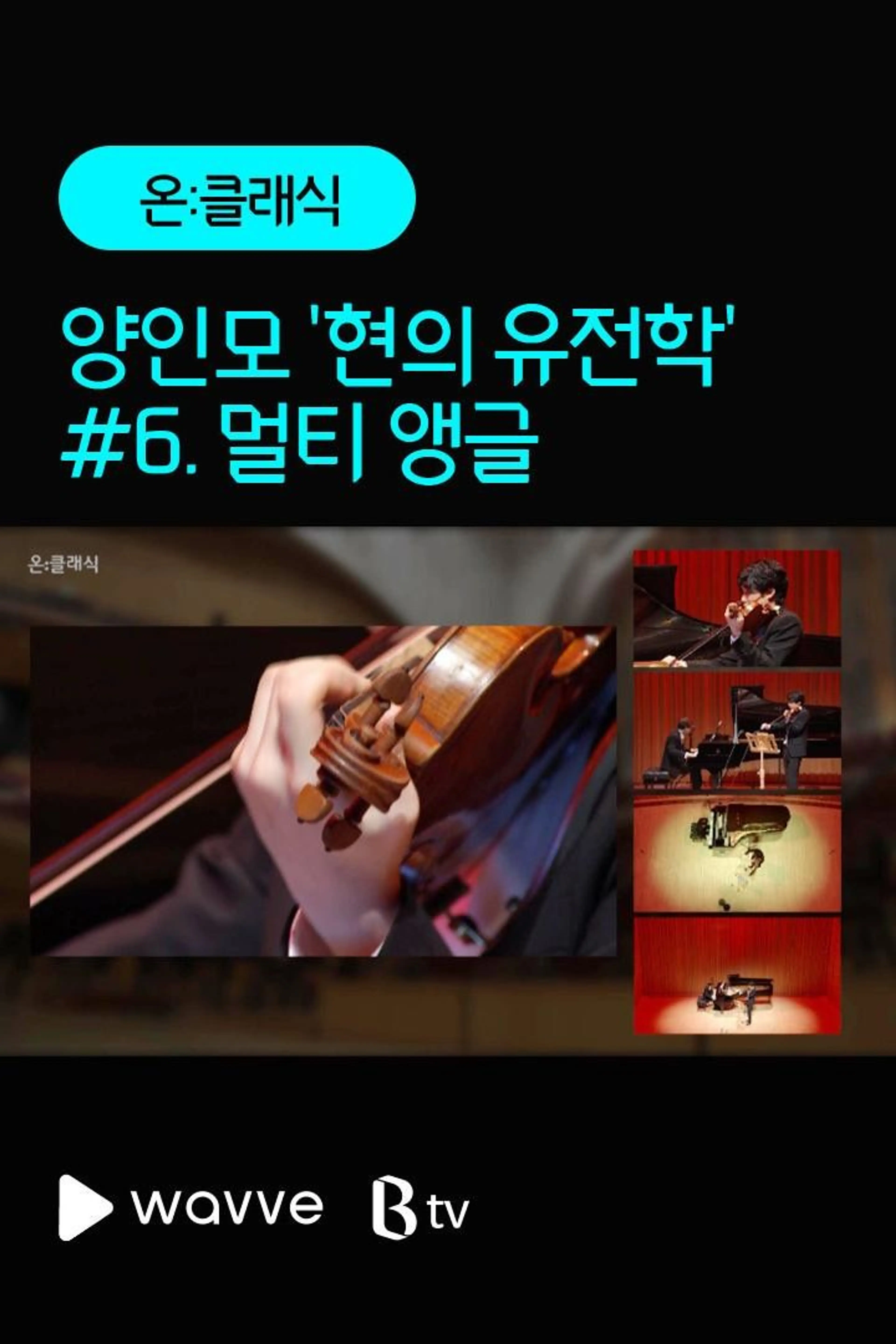 양인모 '현의 유전학' #6. 멀티앵글