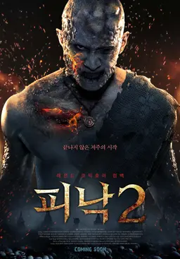 피낙 2