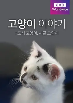 고양이 이야기: 도시 고양이, 시골 고양이