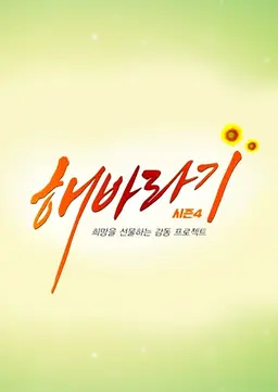 해바라기 시즌4