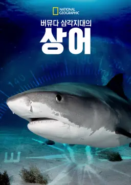 버뮤다 삼각지대의 상어